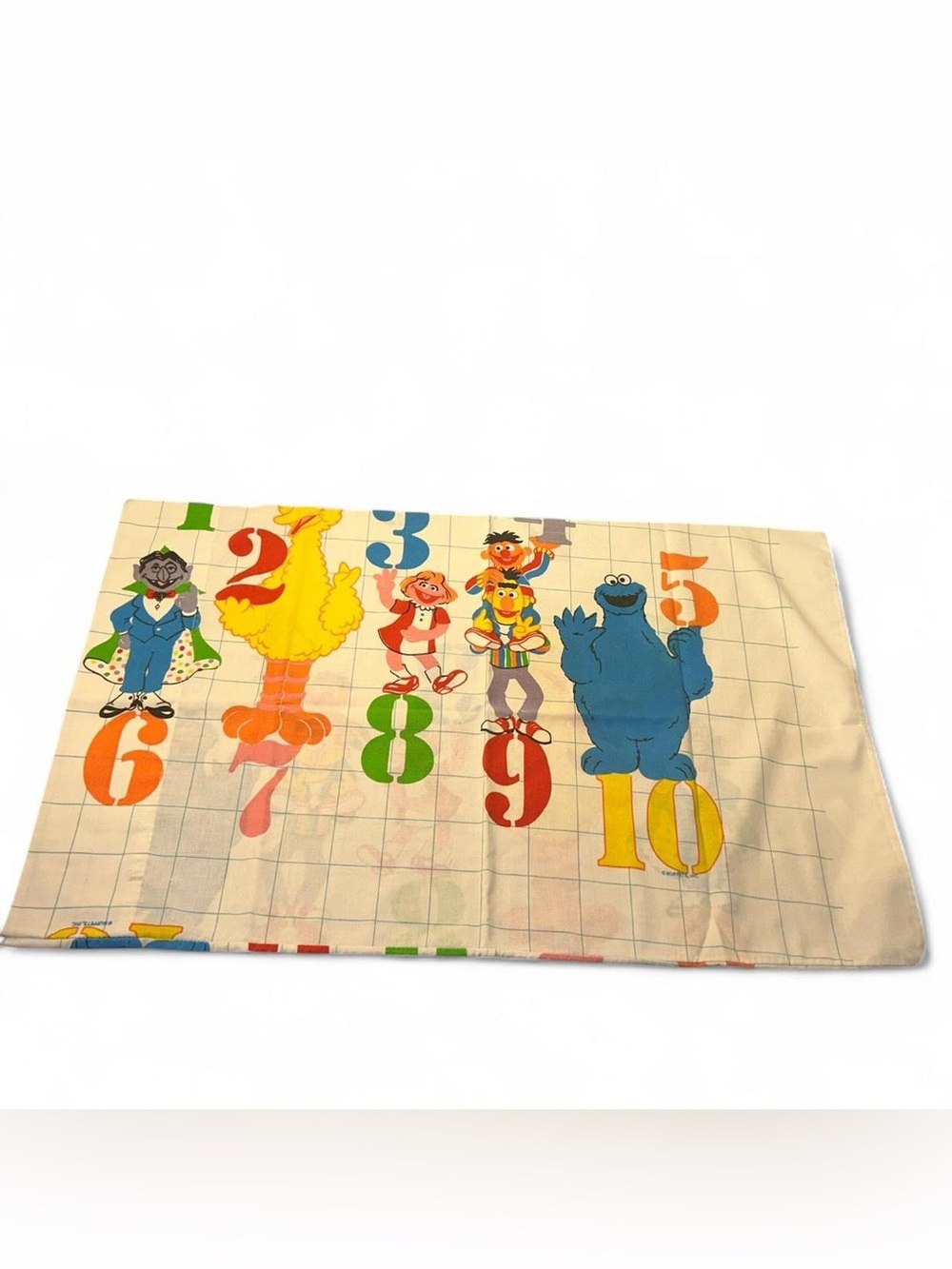 Sesame Street vintage pillowcase  with Multicolor Characters